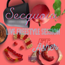 Album cover of Freestyle Session (Live from Chicago)