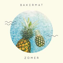 Album picture of Zomer