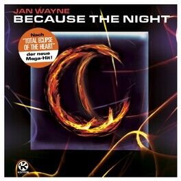 Album cover of Because the Night