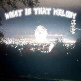 Album cover of WHAT IS THAT MELODY