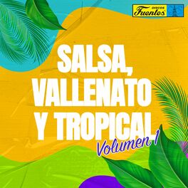 Album cover of Salsa, Vallenato y Tropical, Vol. 1
