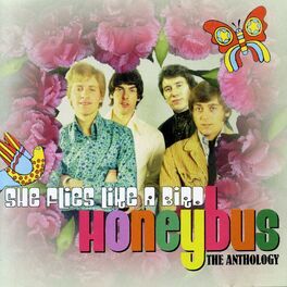 Album cover of She Flies Like a Bird