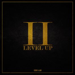 Album cover of Level Up II