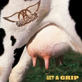 Album cover of Get A Grip