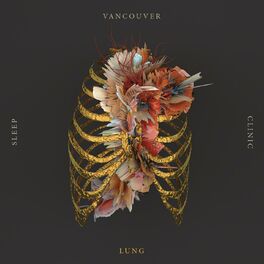 Album cover of Lung