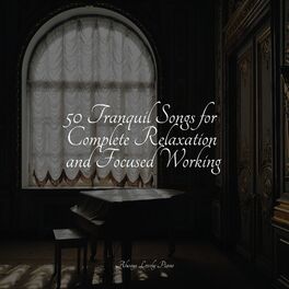 Album cover of 50 Tranquil Songs for Complete Relaxation and Focused Working
