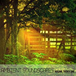 Album cover of Ambient SoundScapes - Vol 21
