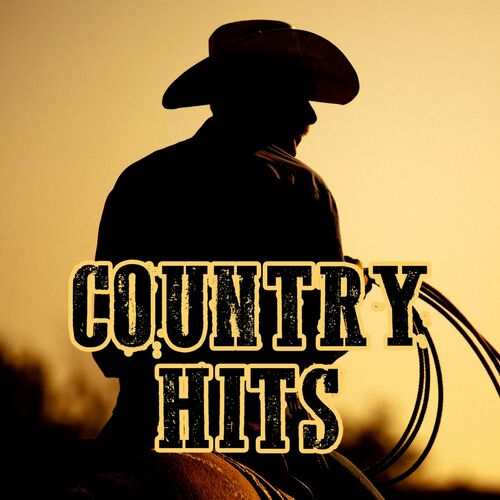 Various Artists (Nouvel album) Country Hits chansons
