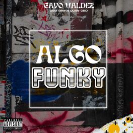Album cover of Algo Funky