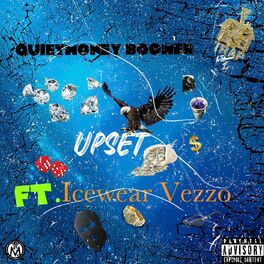 Album cover of Upset