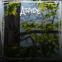 Album cover of Abide
