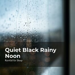 Album cover of Quiet Black Rainy Noon