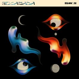 Album cover of Bocanada