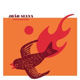 Album cover of Passarinho