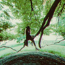 Album cover of Seasons