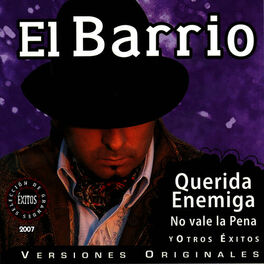 Album cover of Selección de Grandes Exitos 2007