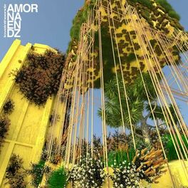 Album cover of AMOR NA ENDZ 2