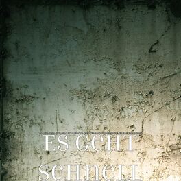 Album cover of Es Geht Schnell