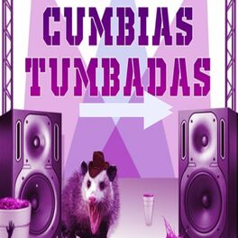 Album cover of Cumbias Tumbadas