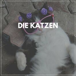 Album cover of Die Katzen