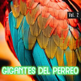 Album cover of Gigantes Del Perreo Vol. 2