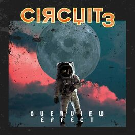 Album cover of Overview Effect