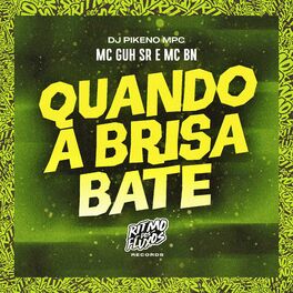 Album cover of Quando a Brisa Bate