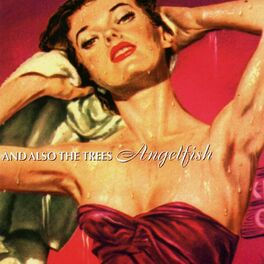 Album cover of Angelfish