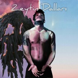 Album cover of Zeytin Dalları