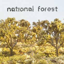 Album cover of National Forest