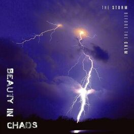 Album cover of The Storm Before the Calm