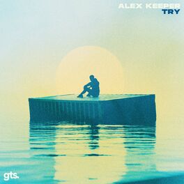 Album cover of Try