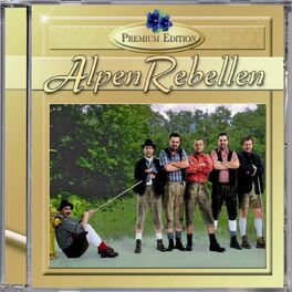 Album cover of Die goldene Hitparade der Volksmusik