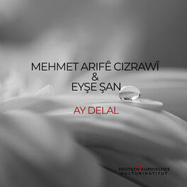 Album cover of Ay Delal