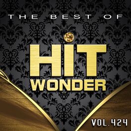 Album cover of Hit Wonder: The Best Of, Vol. 424