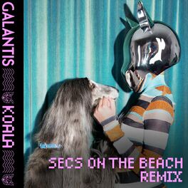 Album cover of Koala (secs on the beach Remix)
