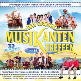 Album cover of Das große Musikantentreffen - Folge 36