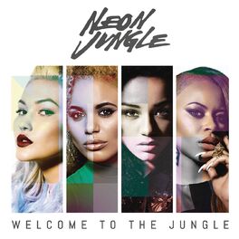 Album cover of Welcome to the Jungle (Deluxe)