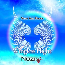 Album cover of Wingless Flight