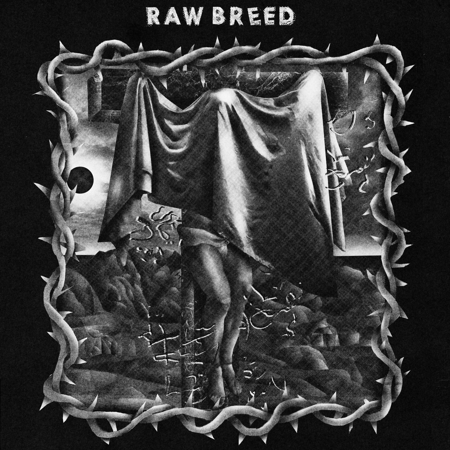 Raw Breed: albums, songs, playlists | Listen on Deezer