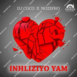 Album cover of Inhliziyo Yam