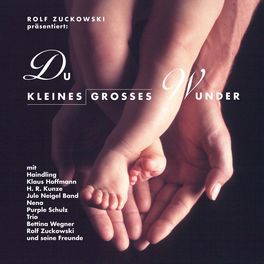Album cover of Rolf Zuckowski präsentiert: Du kleines großes Wunder