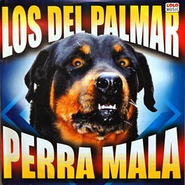 Album cover of Perra Mala