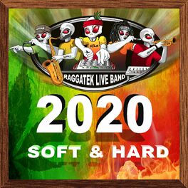 Album cover of Rlb 2020 (Soft & hard)