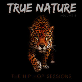 Album cover of True Nature: The Hip Hop Sessions, Vol. 8