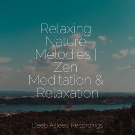 Relaxed Minds Relaxing Nature Melodies Zen Meditation Relaxation Lyrics And Songs Deezer