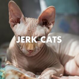 Album cover of Jerk Cats