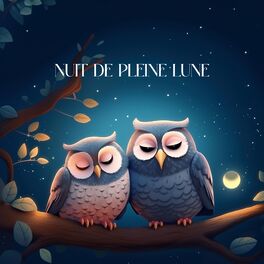 Album cover of Nuit de pleine lune (Musique relaxante bebe sommeil)