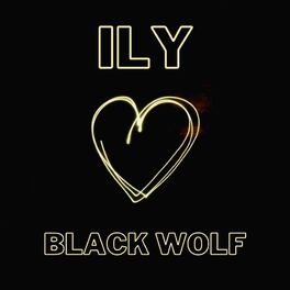 Album cover of ILY