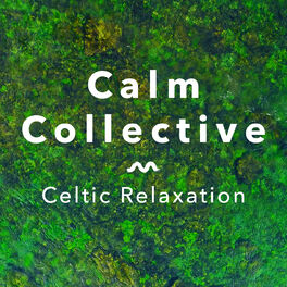 Album cover of Celtic Relaxation